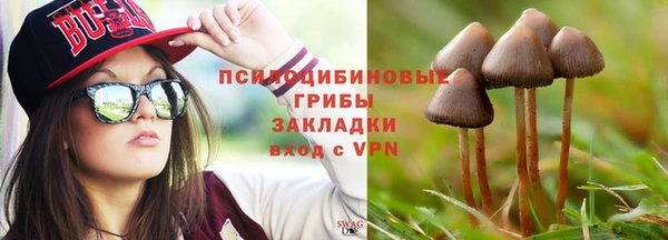 тгк Медногорск