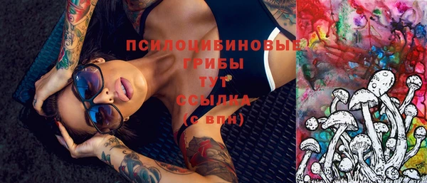 тгк Медногорск